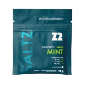 SALTZ PASTILHA Z2 MINT 13G- Z2