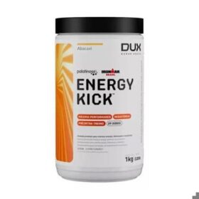 ENERGY KICK ABACAXI 1KG DUX
